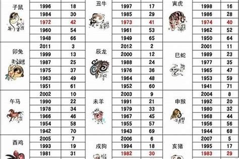 2007年是什么猪|2007年属猪的是什么命 2007年属猪的是什么命运